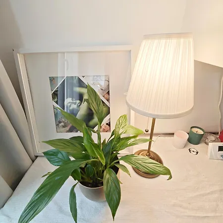 Notre Dame In Latin Quarter Stylish Flat For 6 Apartment